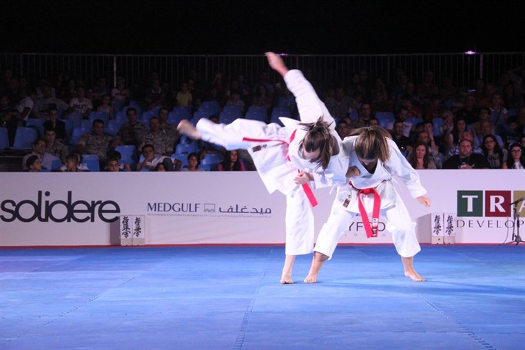 Martial Arts Festival
